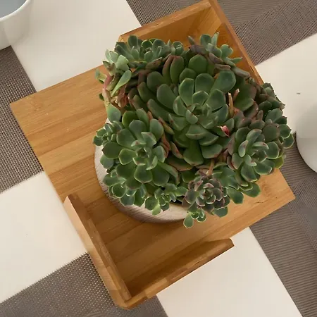 Casa Pina Colada Apartmán Corralejo